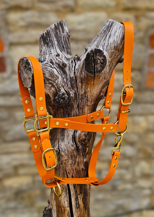 Burnt Orange - Premium BioThane® waterproof Horse Halter