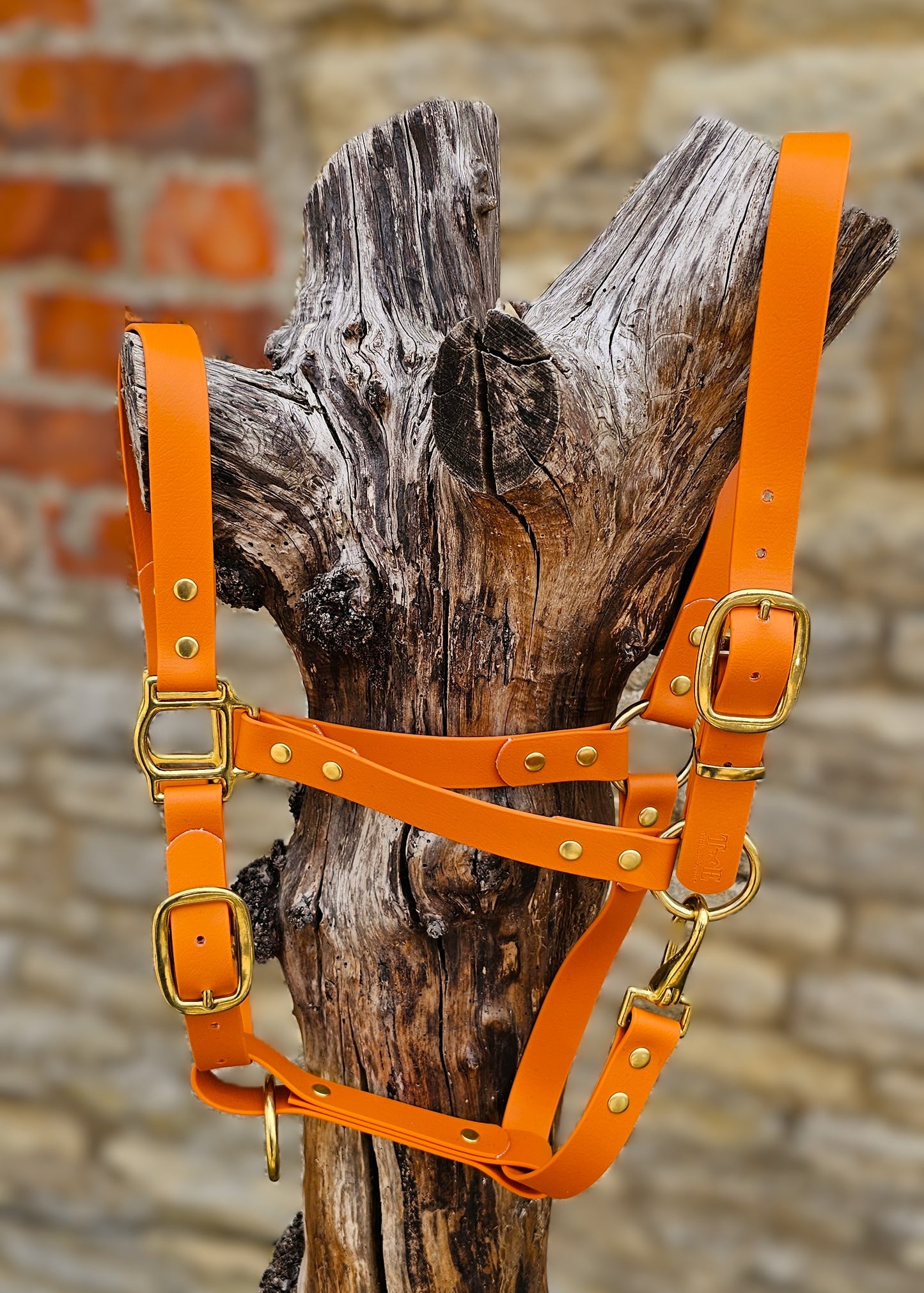Burnt Orange - Premium BioThane® waterproof Horse Halter