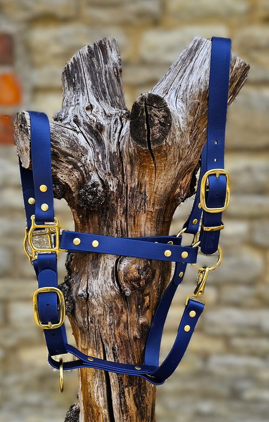 Navy - Premium BioThane® waterproof Horse Halter
