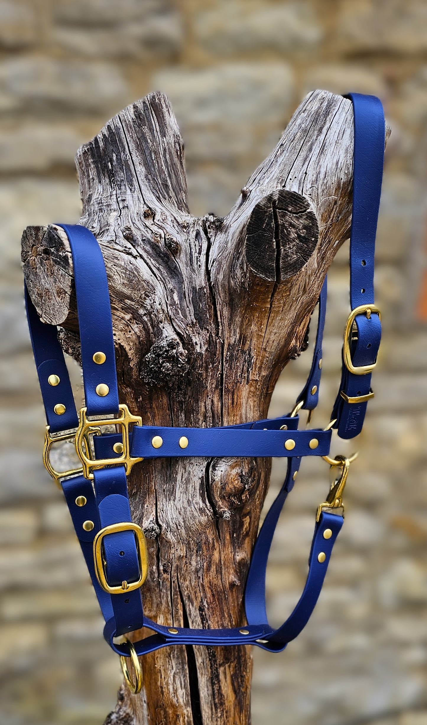 Navy - Premium BioThane® waterproof Horse Halter