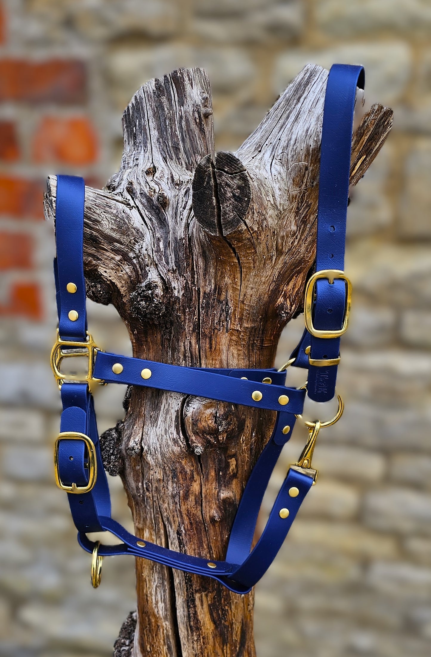 Navy - Premium BioThane® waterproof Horse Halter
