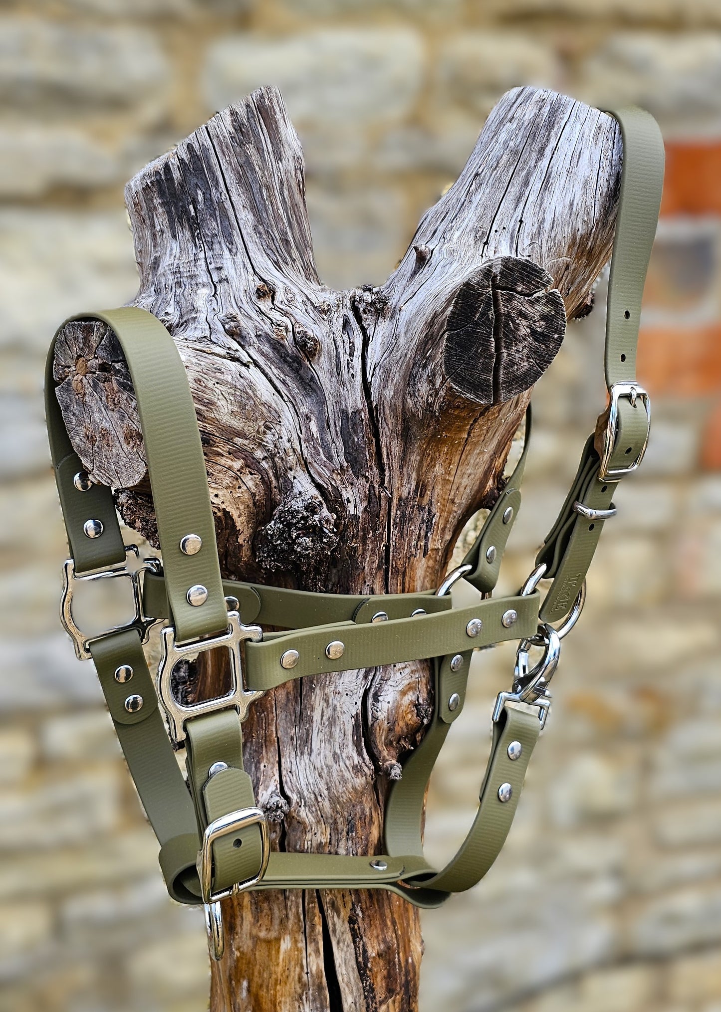 Olive - Classic BioThane® waterproof Horse Halter