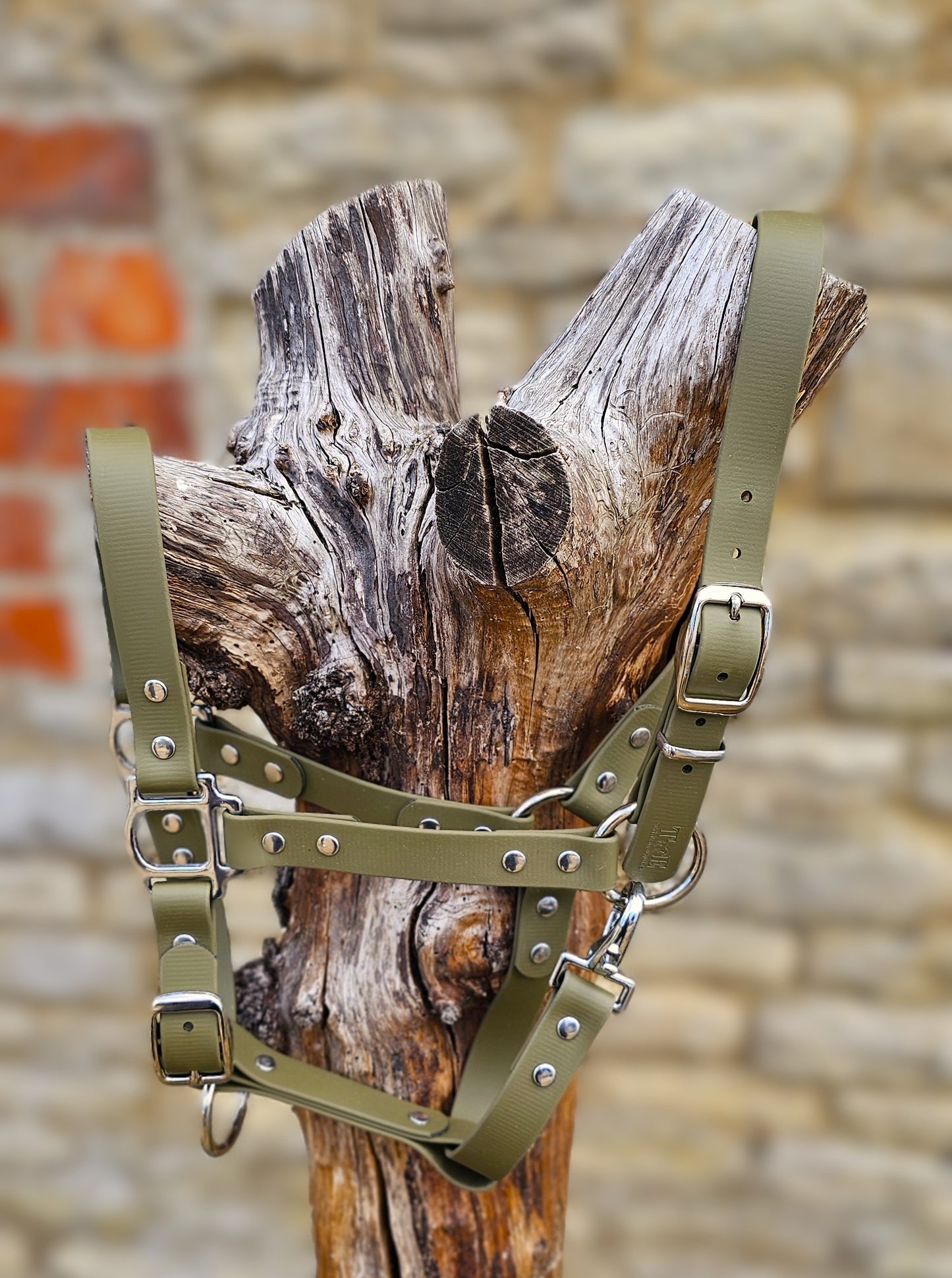 Olive - Classic BioThane® waterproof Horse Halter