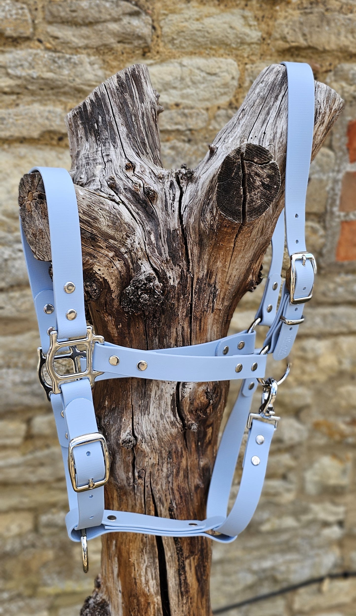 Baby Blue - Classic BioThane® waterproof Horse Halter