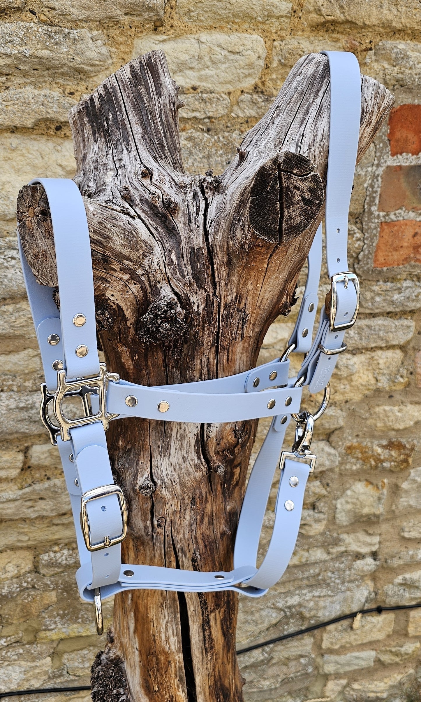 Baby Blue - Classic BioThane® waterproof Horse Halter