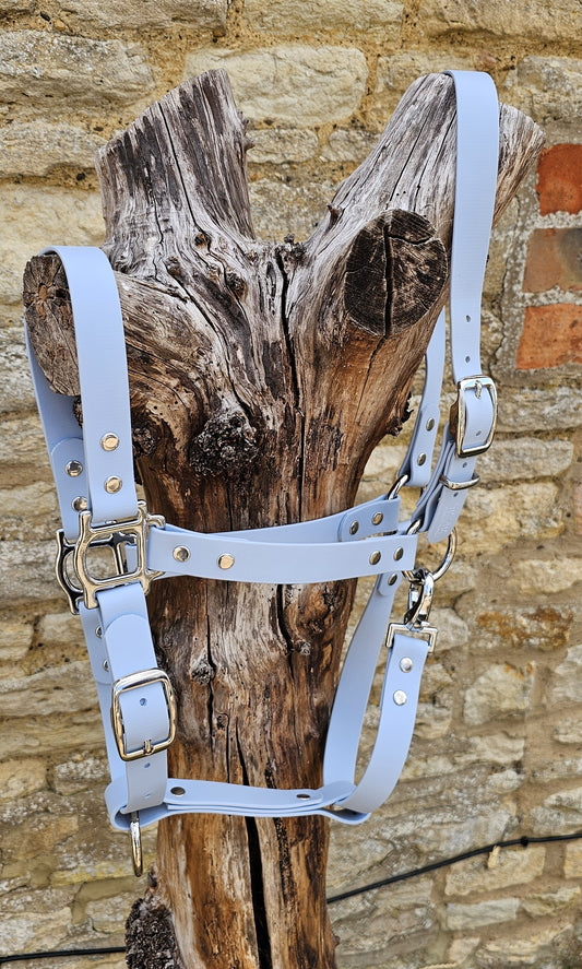 Baby Blue - Classic BioThane® waterproof Horse Halter