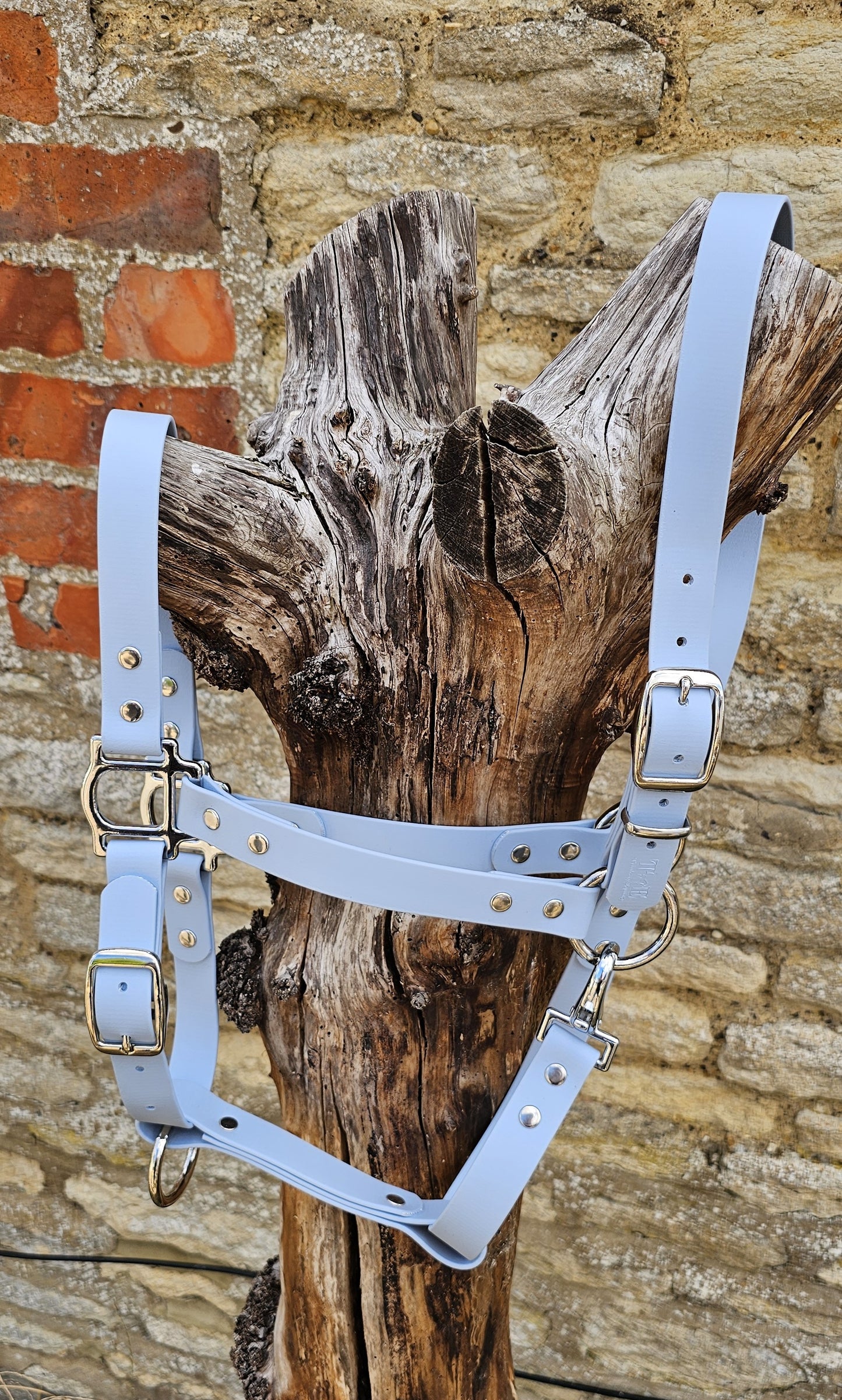 Baby Blue - Classic BioThane® waterproof Horse Halter