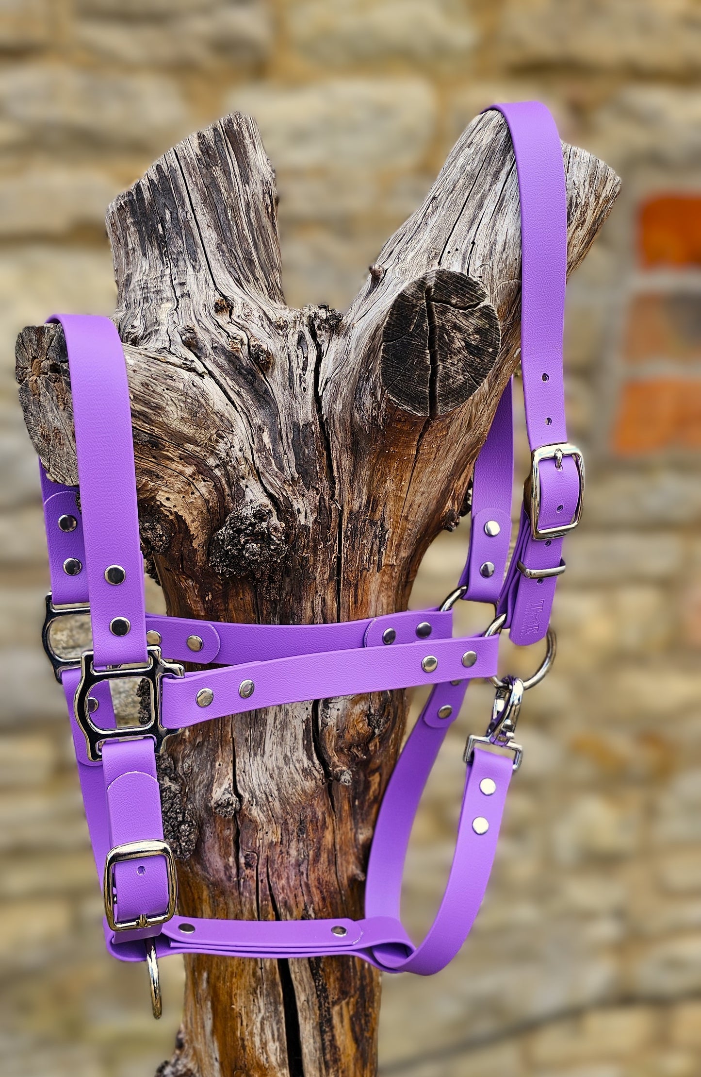 Amethyst - Classic BioThane® waterproof Horse Halter