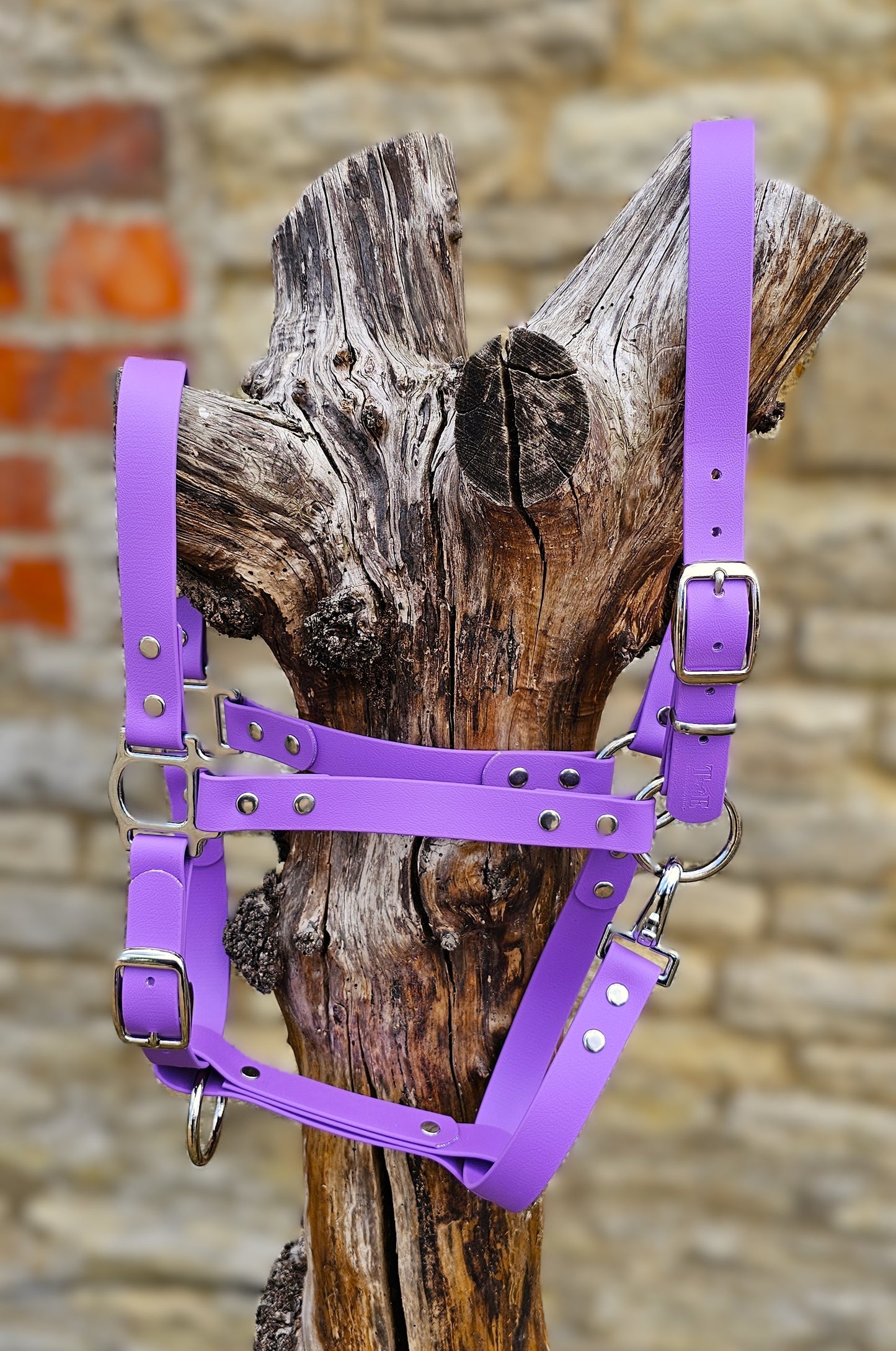 Amethyst - Classic BioThane® waterproof Horse Halter