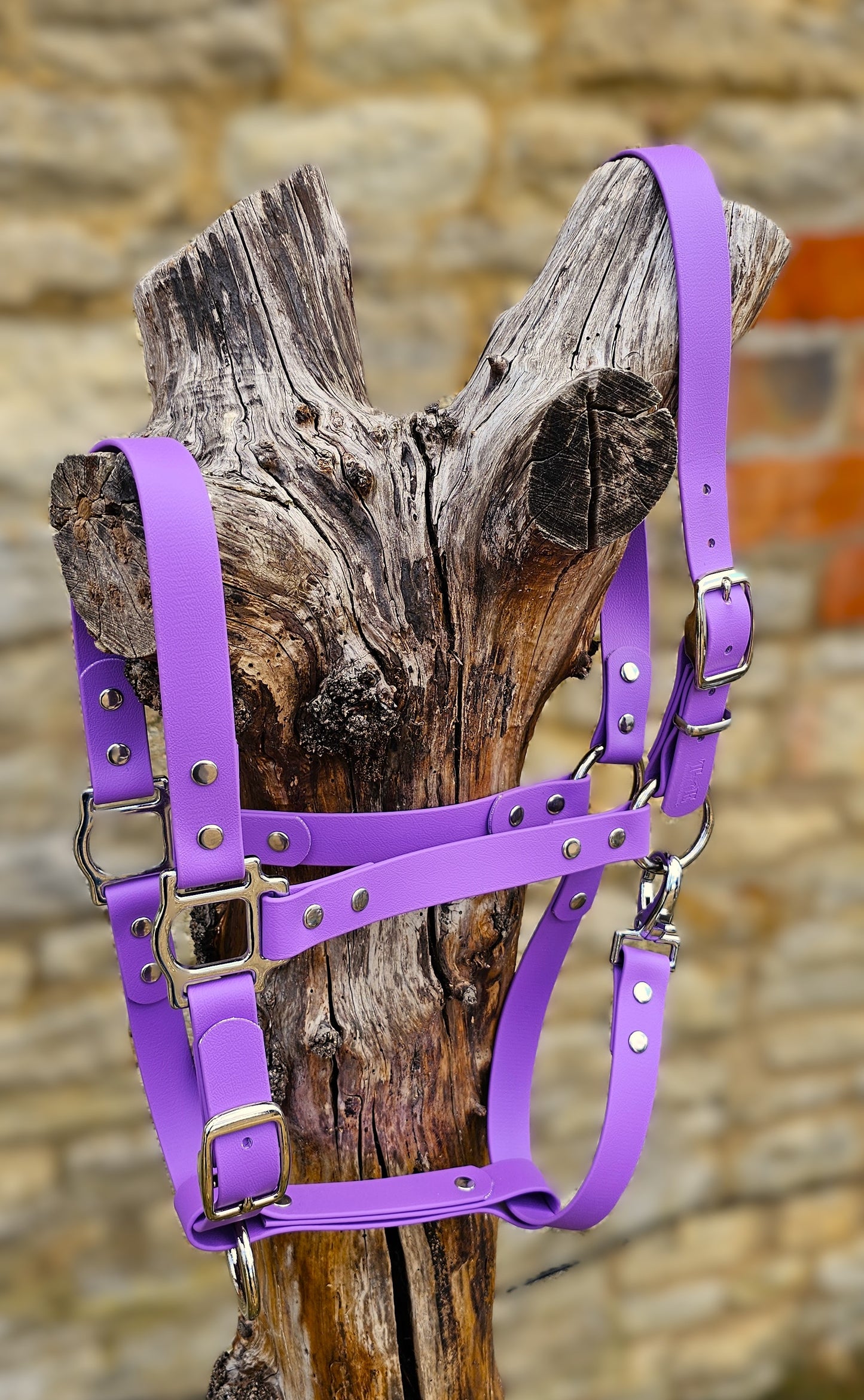 Amethyst - Classic BioThane® waterproof Horse Halter