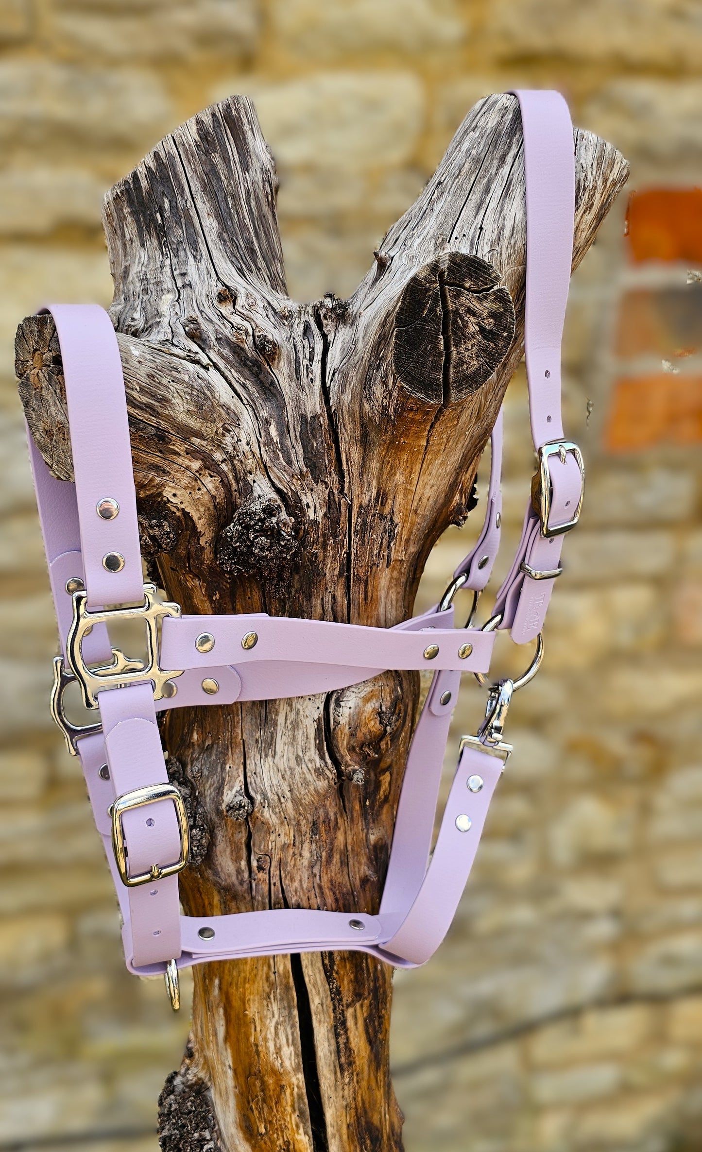 Lilac - Classic BioThane® waterproof Horse Halter
