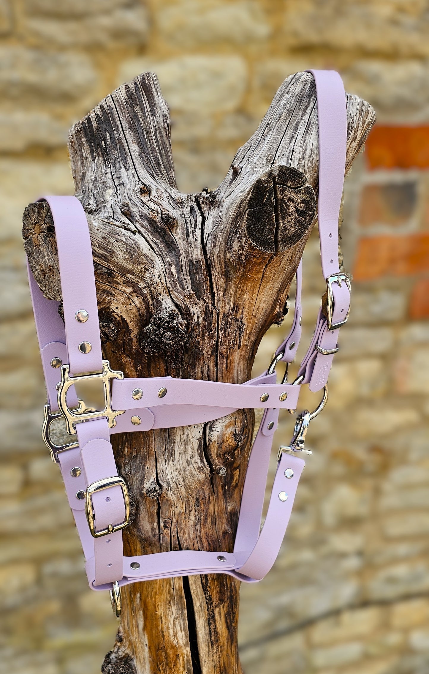 Lilac - Classic BioThane® waterproof Horse Halter