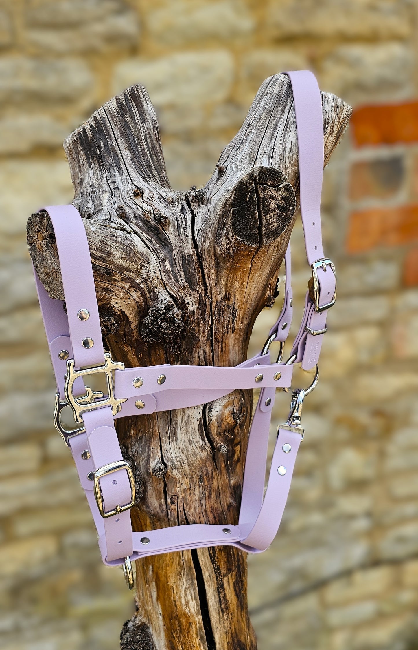 Lilac - Classic BioThane® waterproof Horse Halter