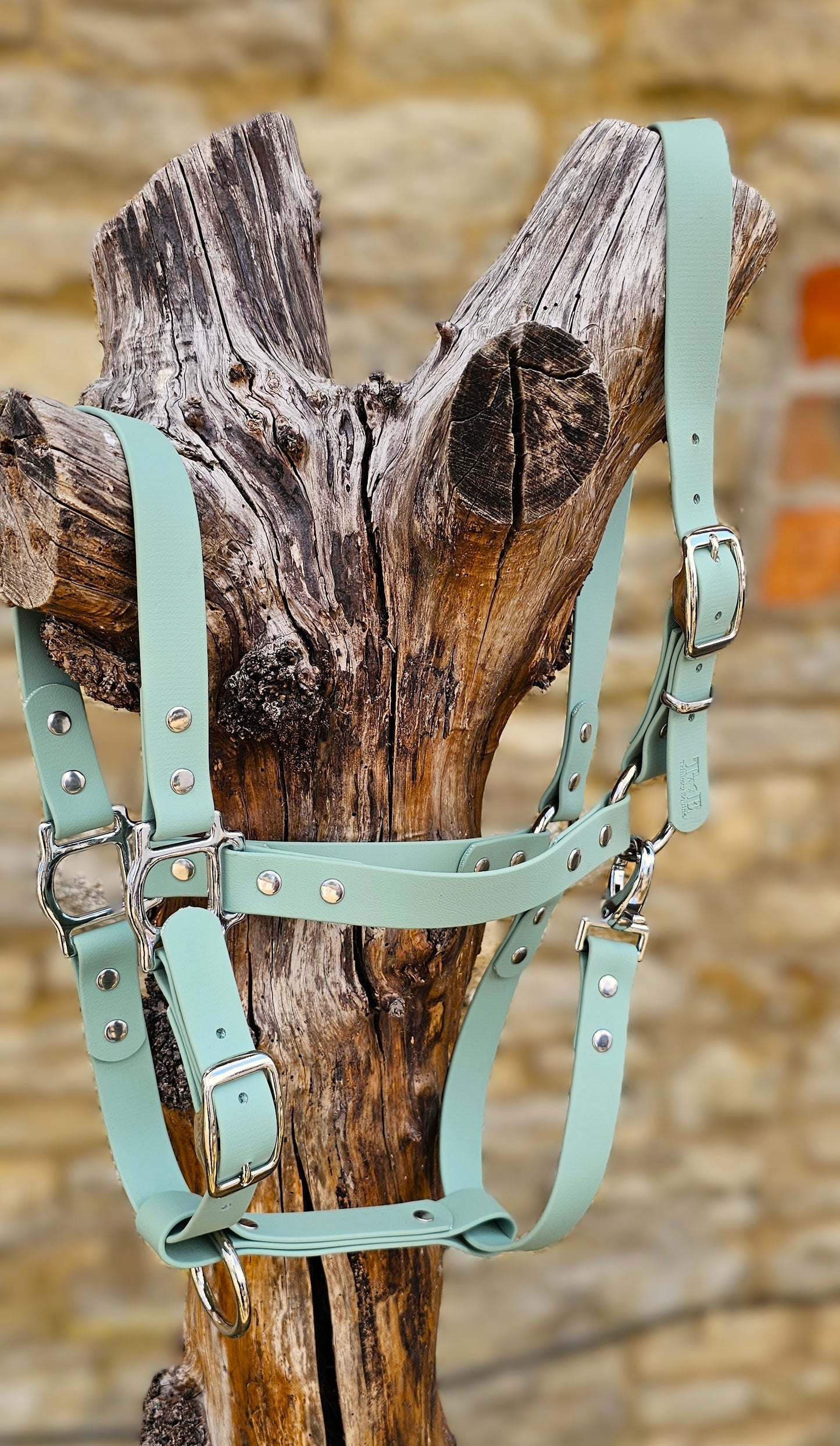 Sage - Classic BioThane® waterproof Horse Halter