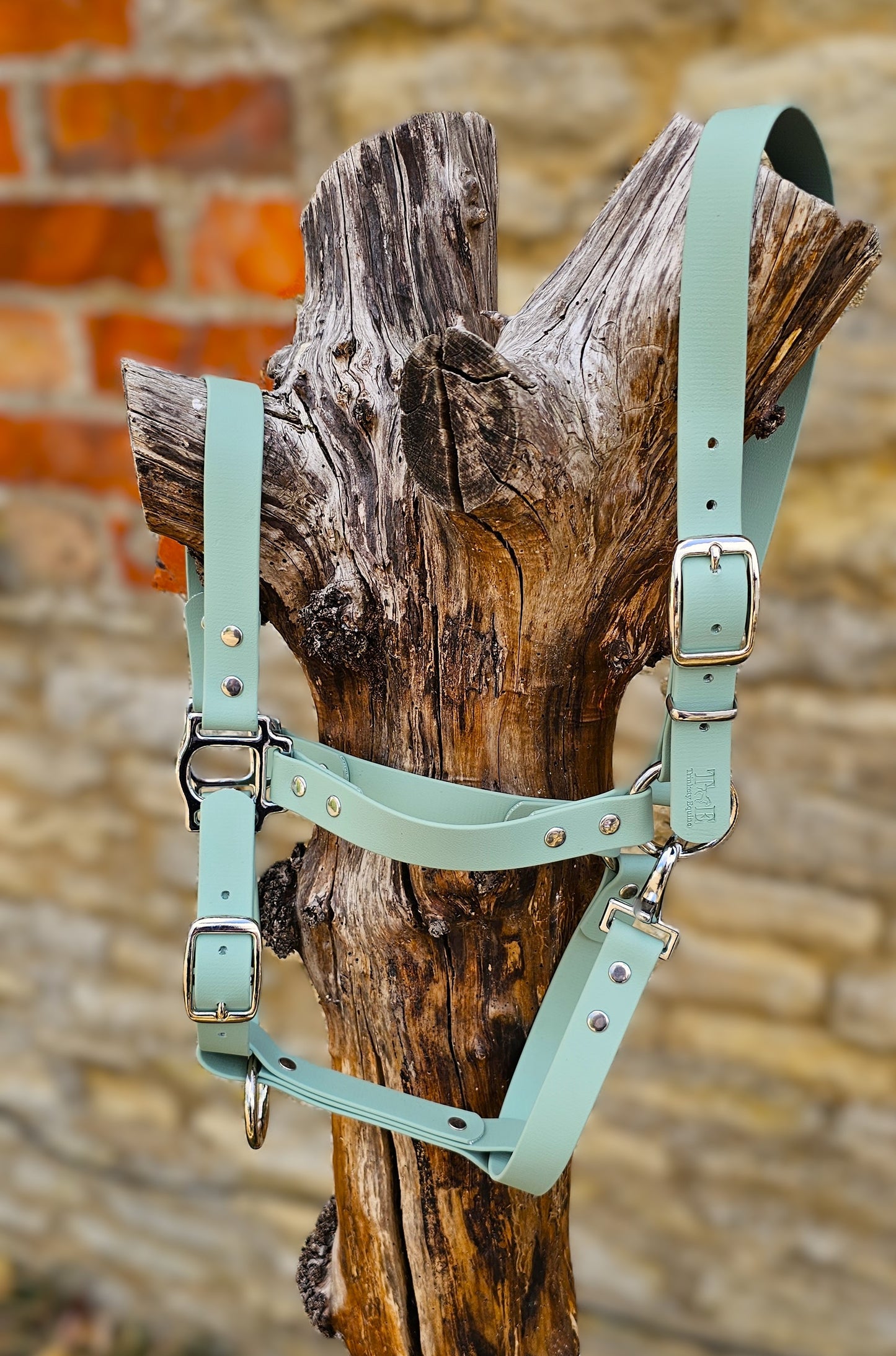Sage - Classic BioThane® waterproof Horse Halter