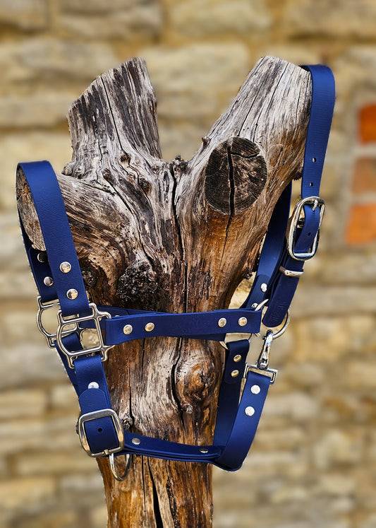 Navy - Classic BioThane® waterproof Horse Halter