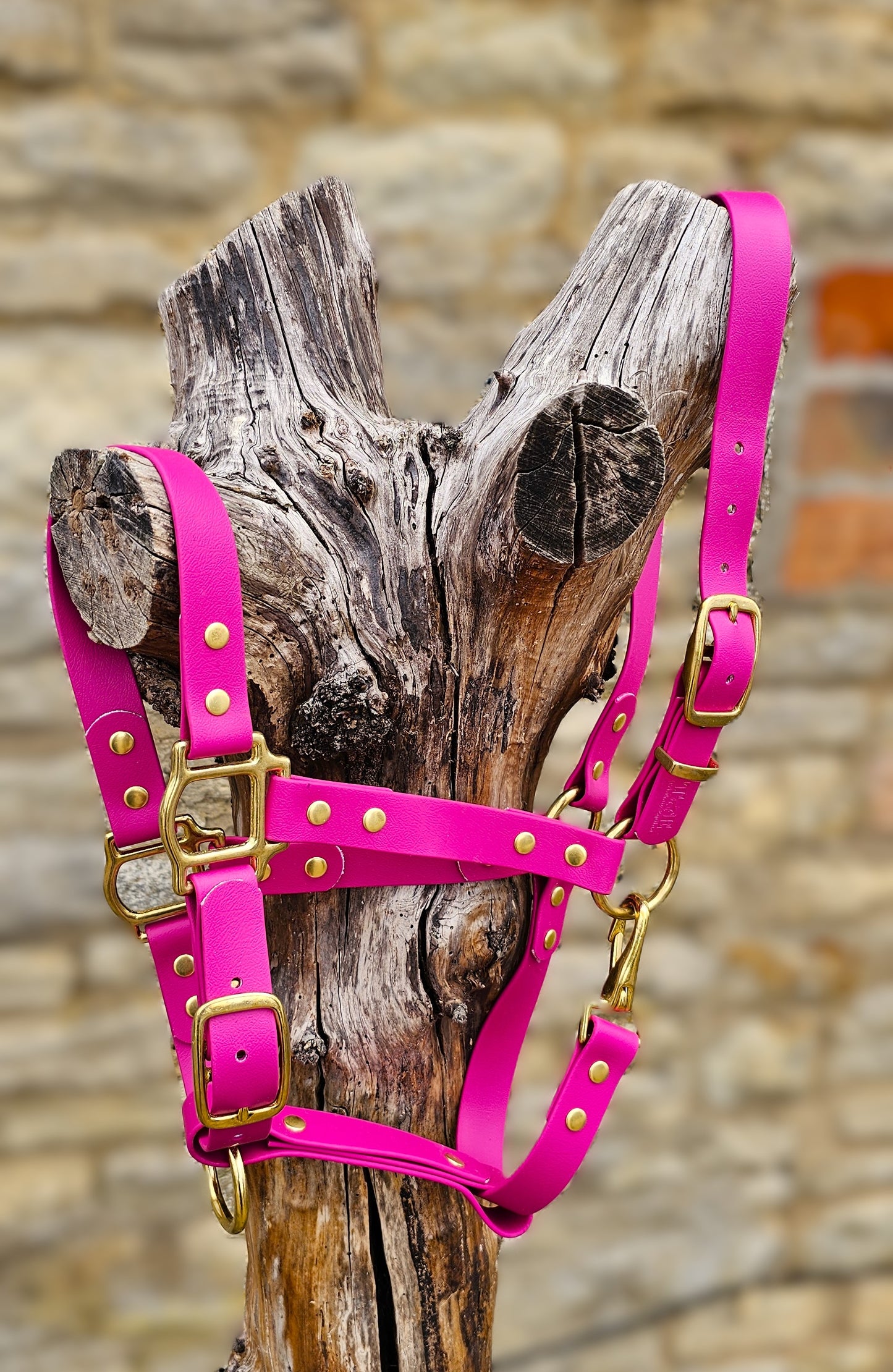 Magenta - Premium BioThane® waterproof Horse Halter