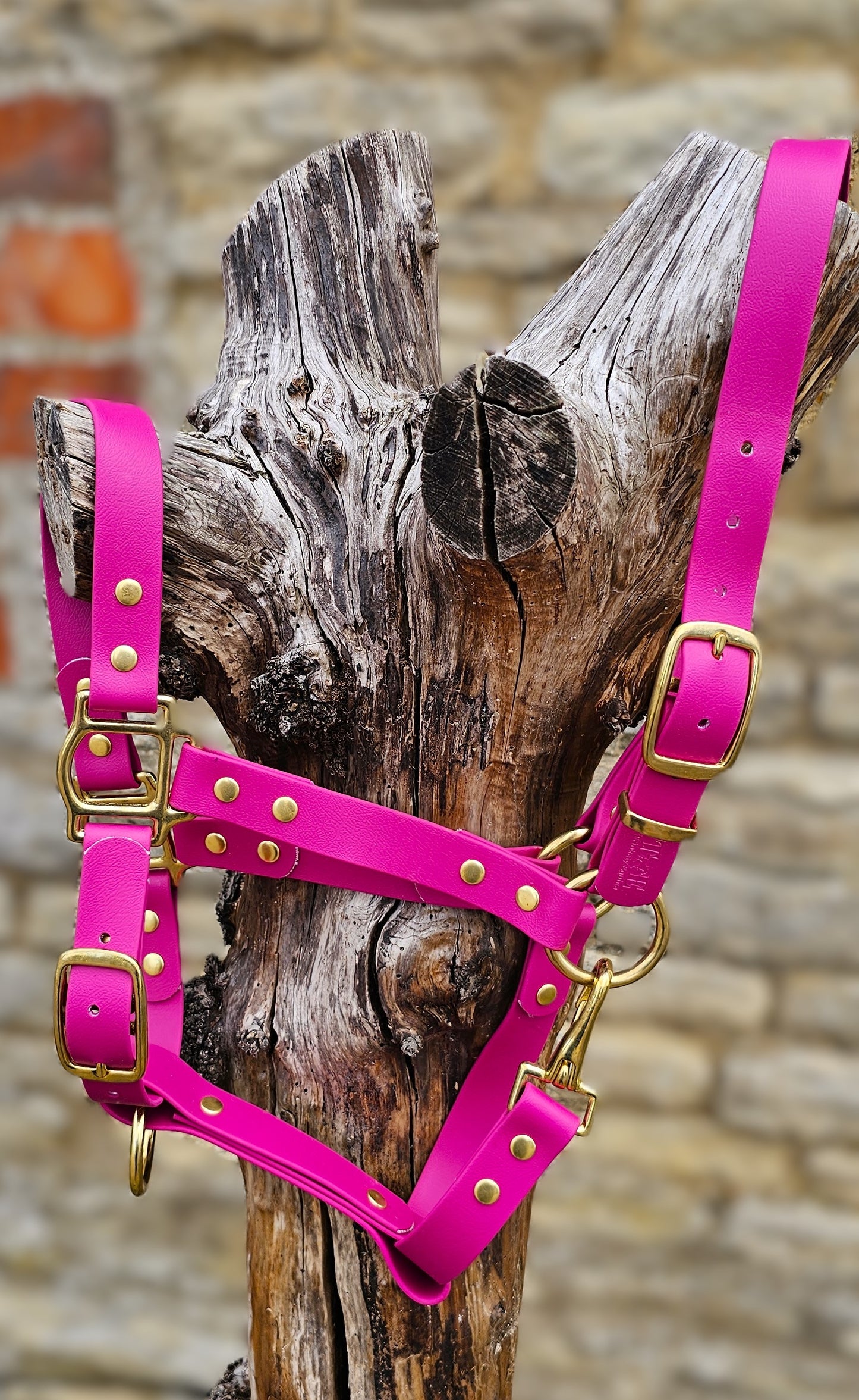 Magenta - Premium BioThane® waterproof Horse Halter