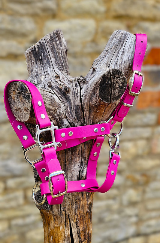Magenta - Classic BioThane® waterproof Horse Halter