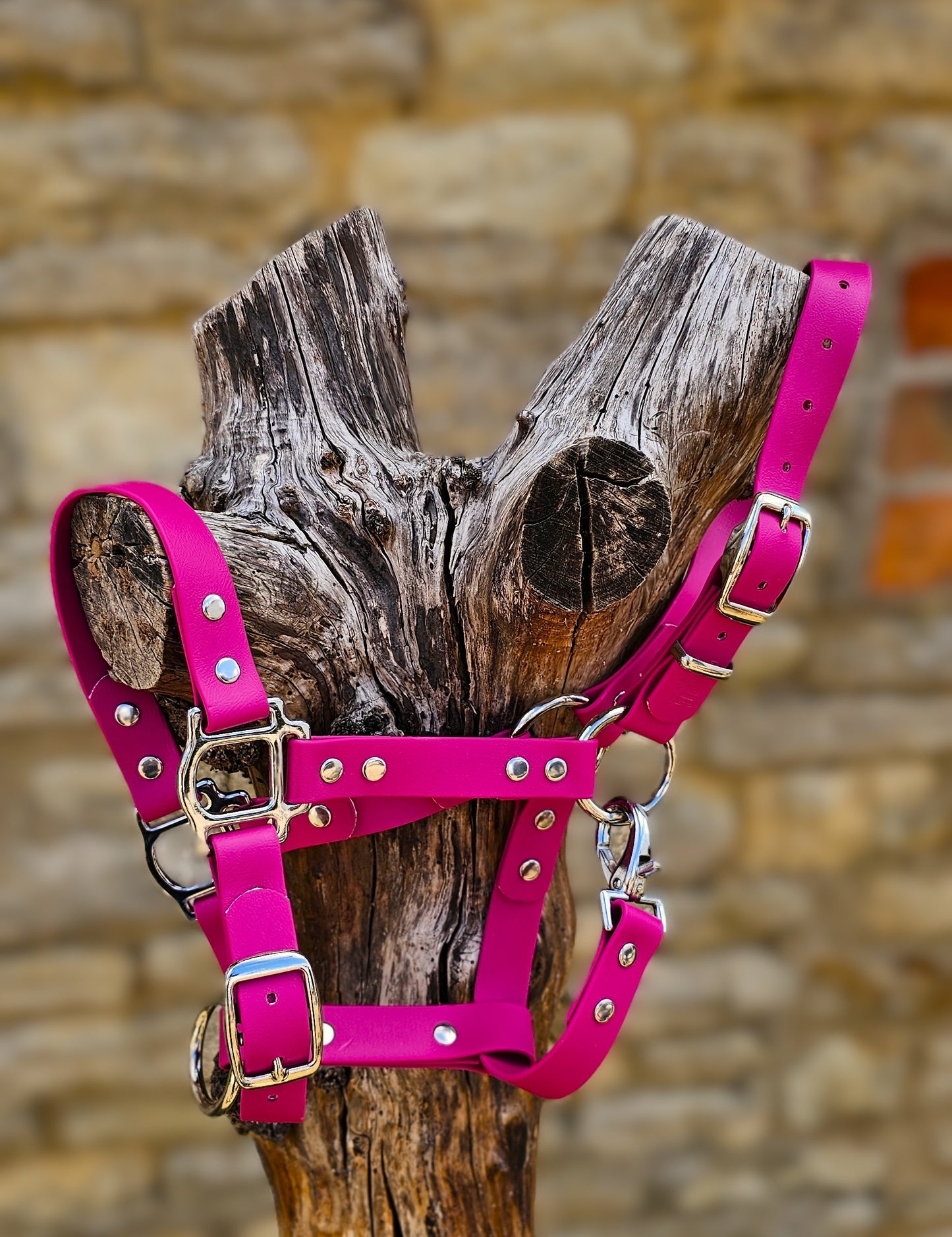 Magenta - Classic BioThane® waterproof Horse Halter