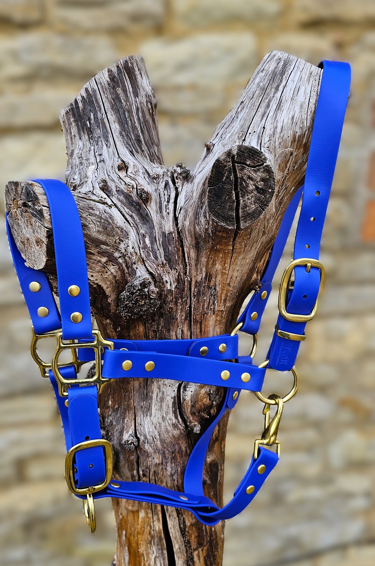 Royal Blue - Premium BioThane® waterproof Horse Halter