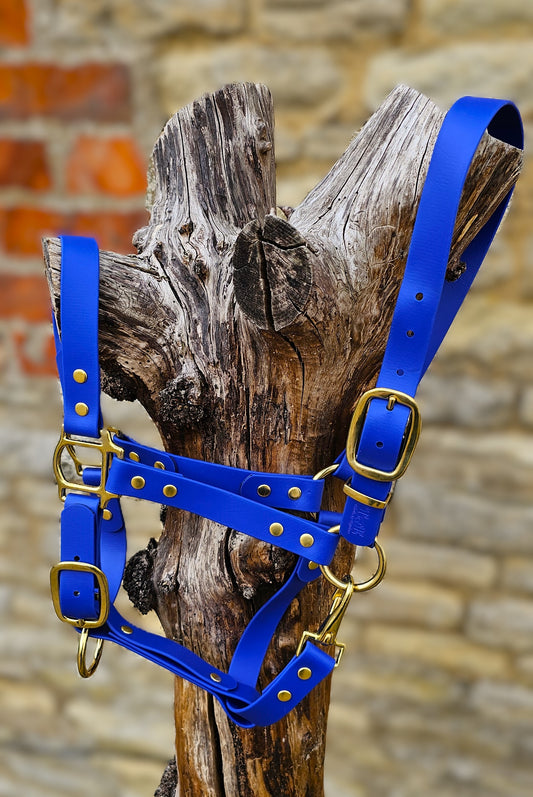Royal Blue - Premium BioThane® waterproof Horse Halter