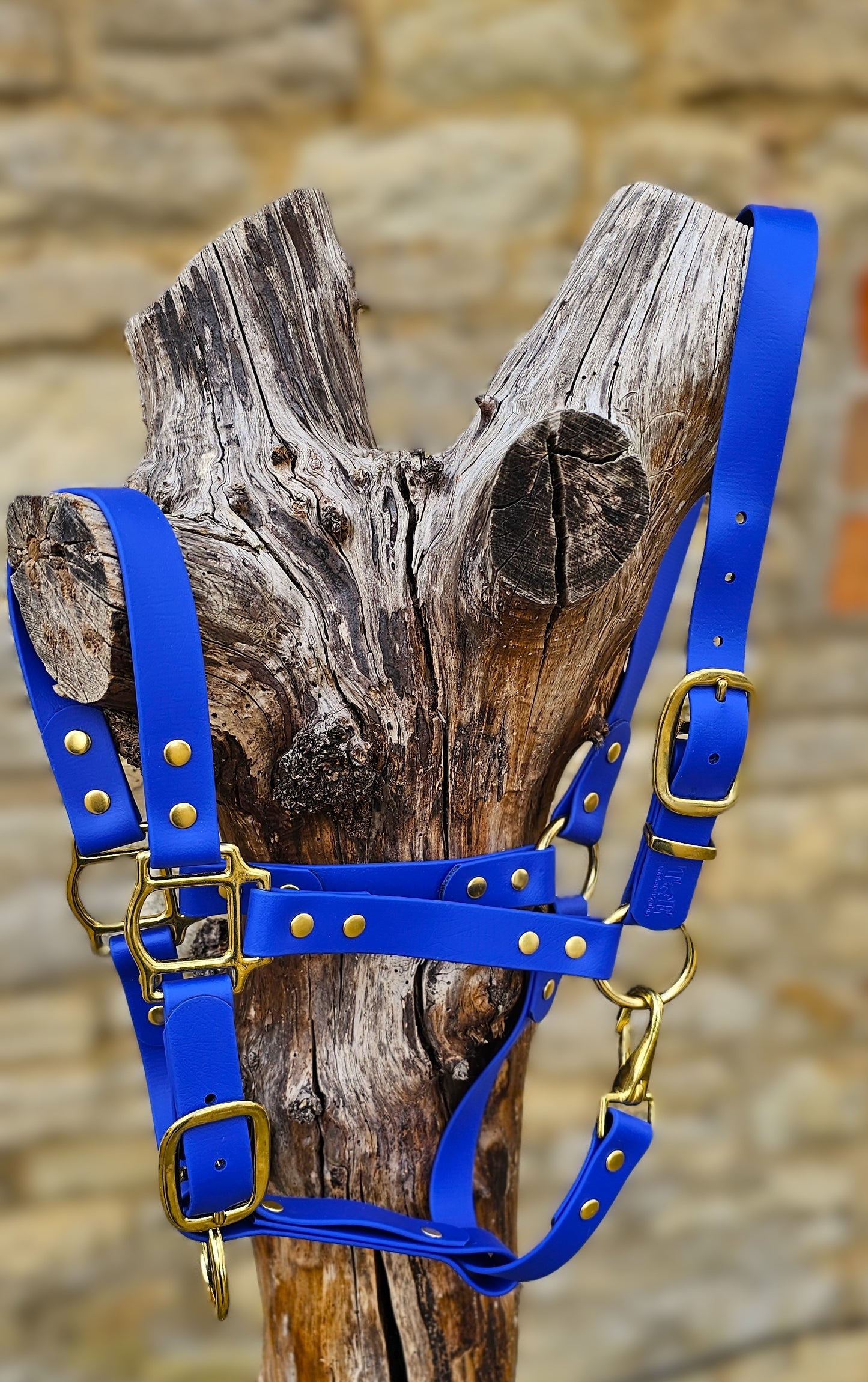 Royal Blue - Premium BioThane® waterproof Horse Halter