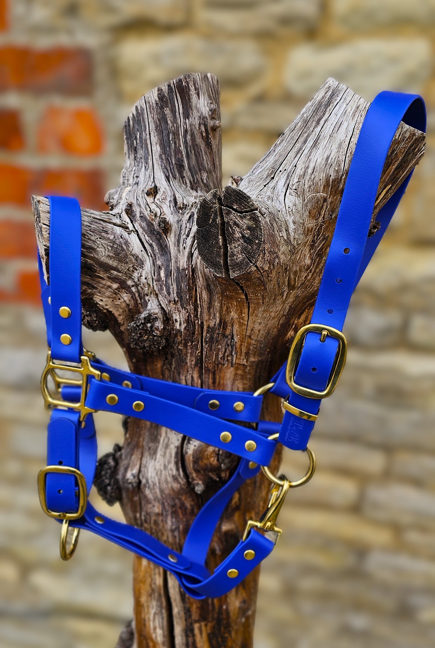 Royal Blue - Premium BioThane® waterproof Horse Halter