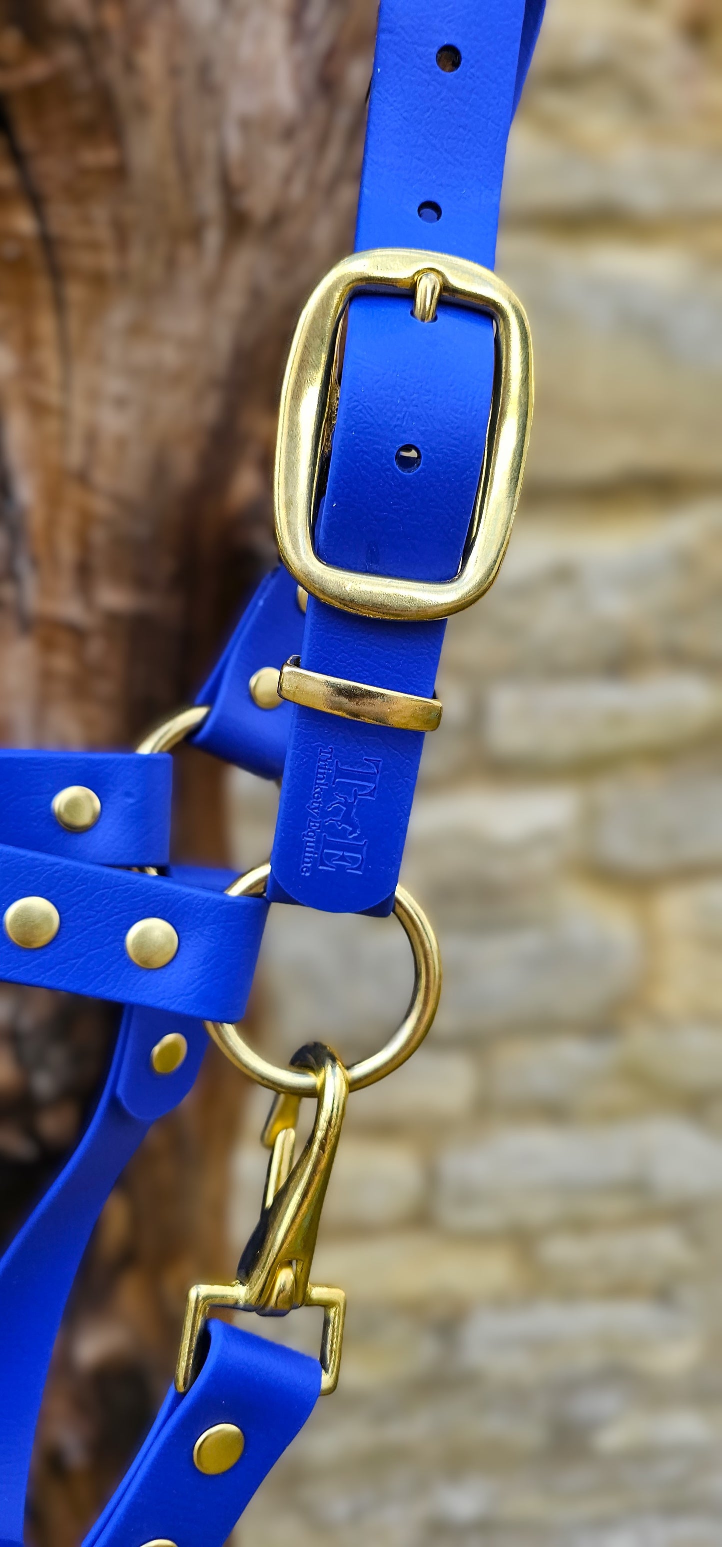 Royal Blue - Premium BioThane® waterproof Horse Halter