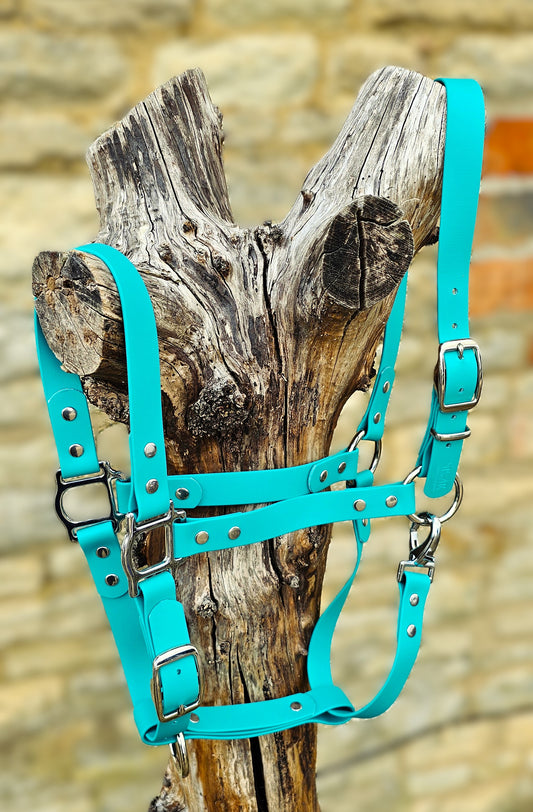 Teal - Classic BioThane® waterproof Horse Halter
