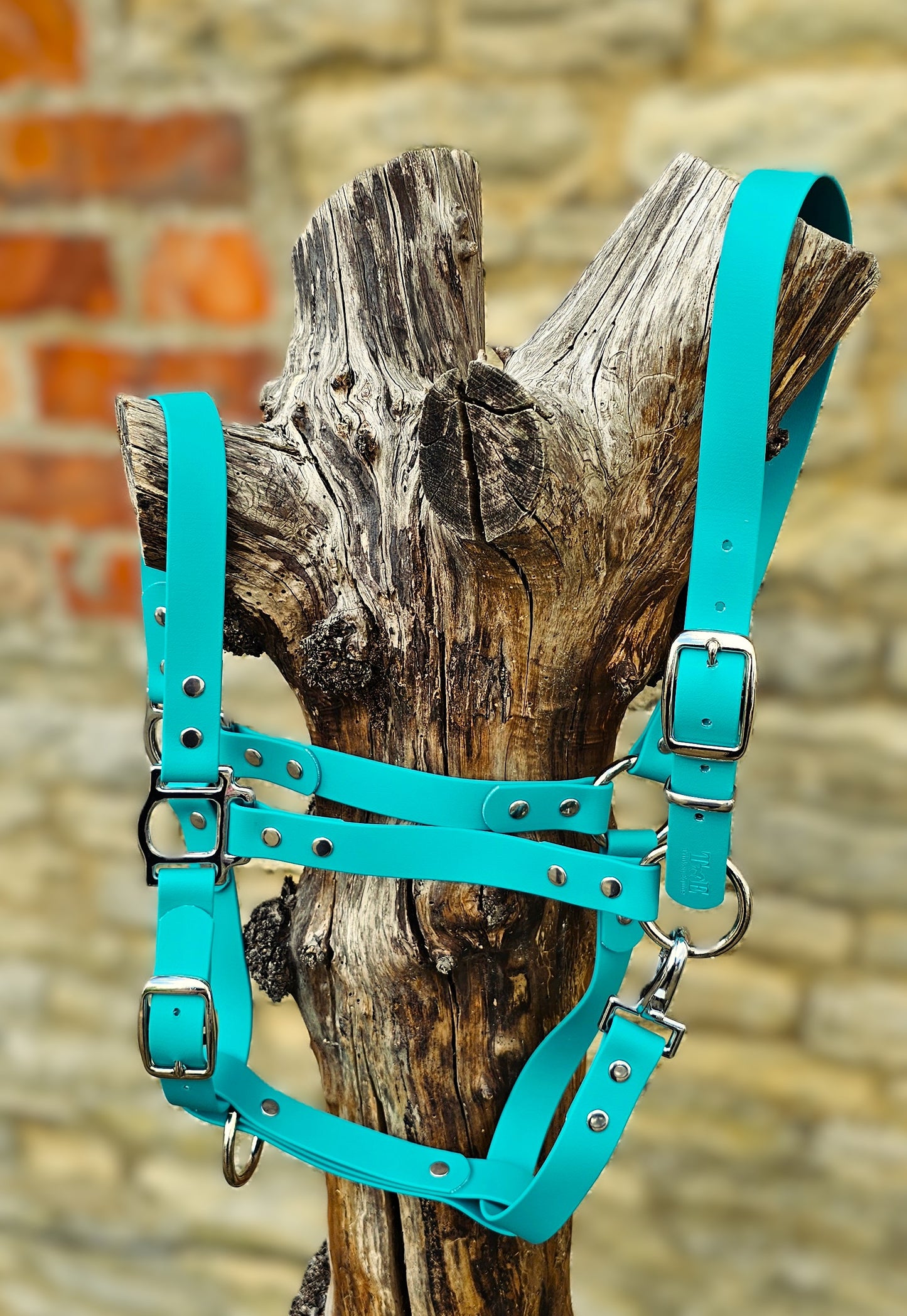 Teal - Classic BioThane® waterproof Horse Halter