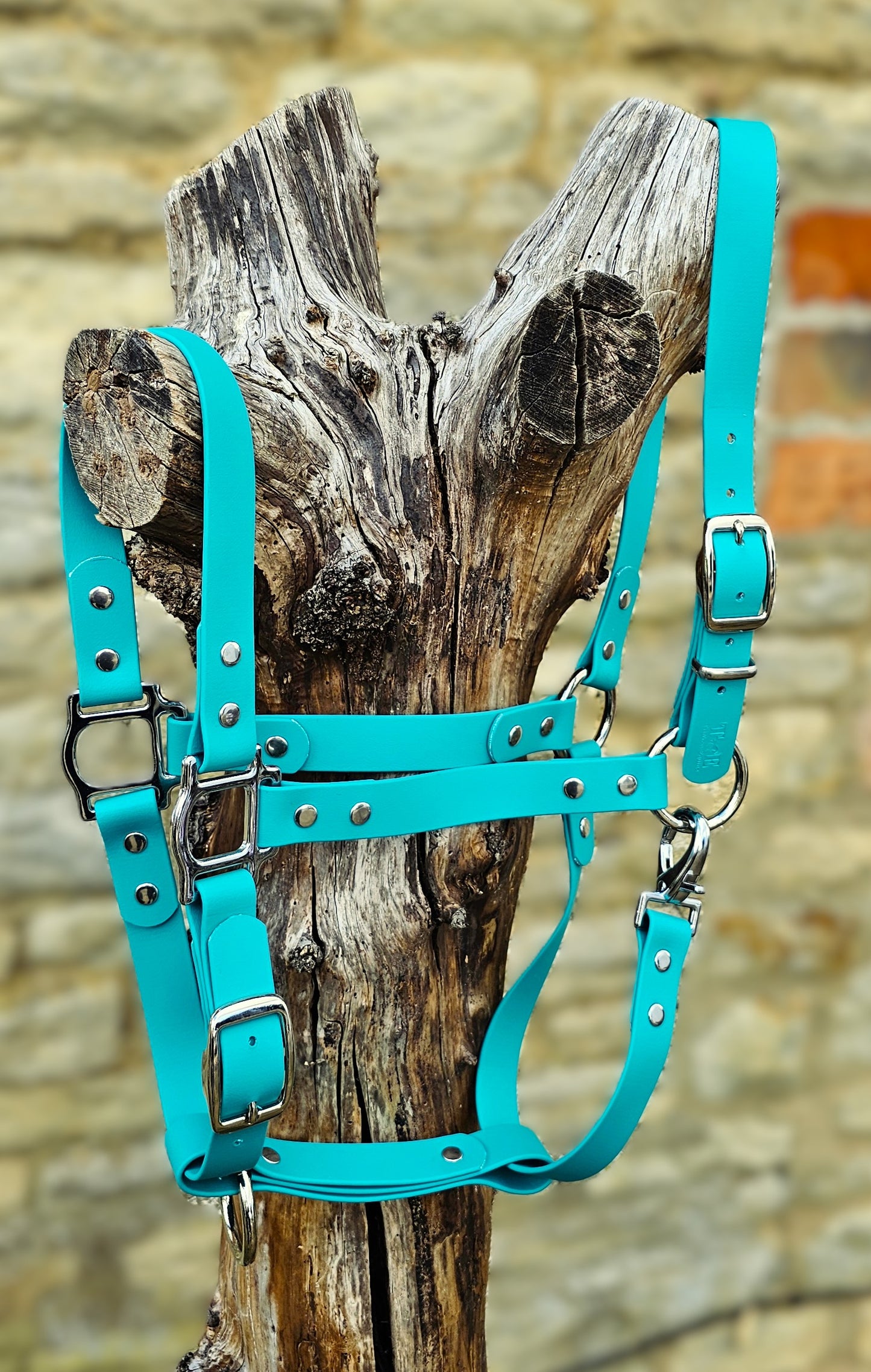 Teal - Classic BioThane® waterproof Horse Halter