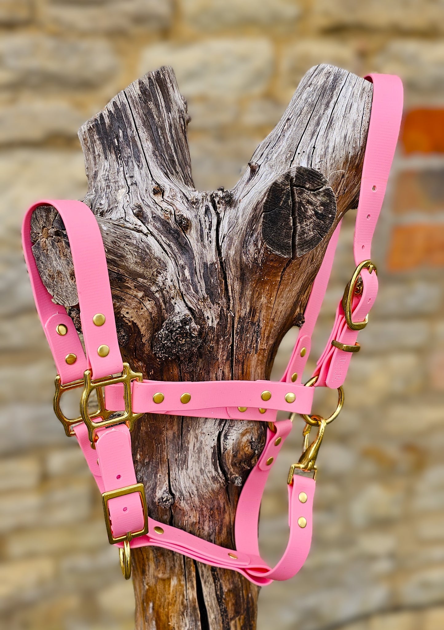 Baby Pink - Premium BioThane® waterproof Horse Halter