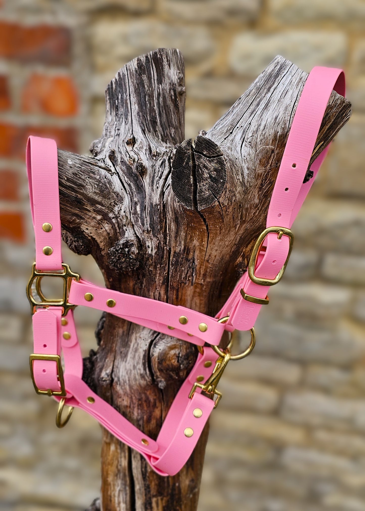 Baby Pink - Premium BioThane® waterproof Horse Halter