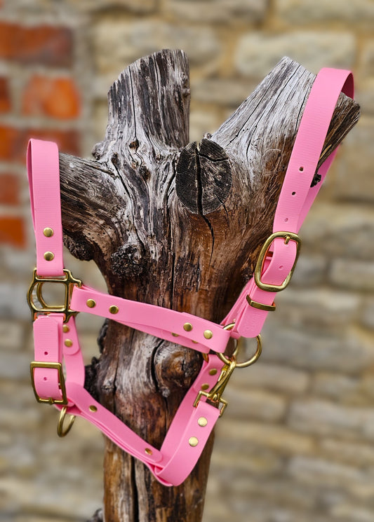 Baby Pink - Premium BioThane® waterproof Horse Halter