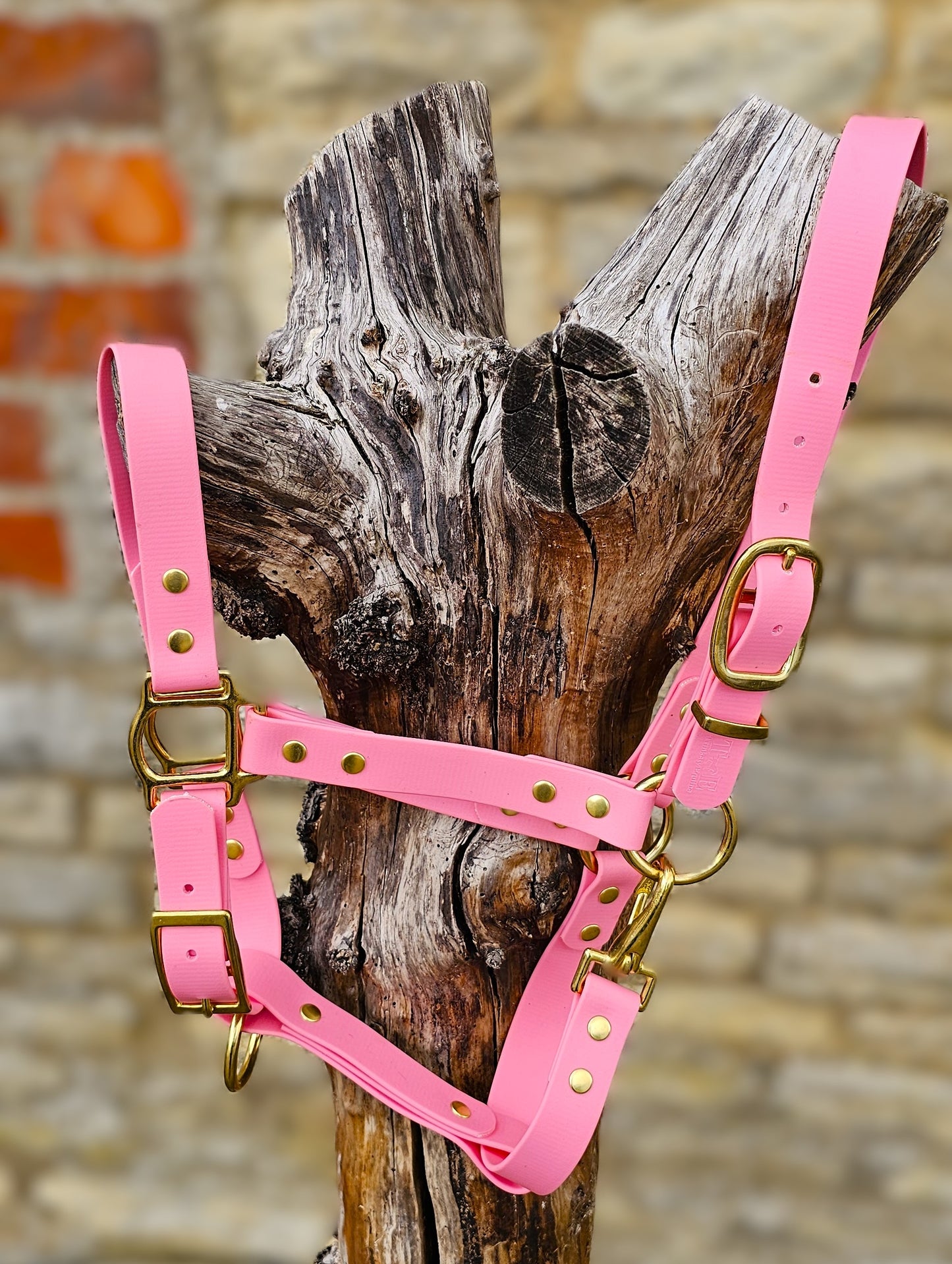 Baby Pink - Premium BioThane® waterproof Horse Halter