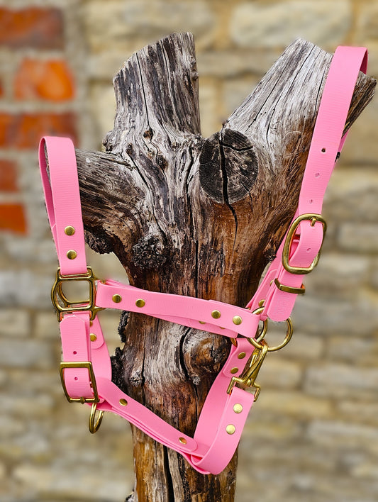 Baby Pink - Premium BioThane® waterproof Horse Halter