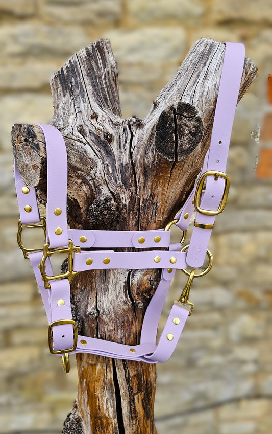 Lilac - Premium BioThane® waterproof Horse Halter