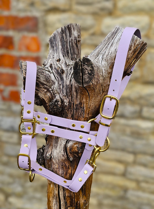 Lilac - Premium BioThane® waterproof Horse Halter