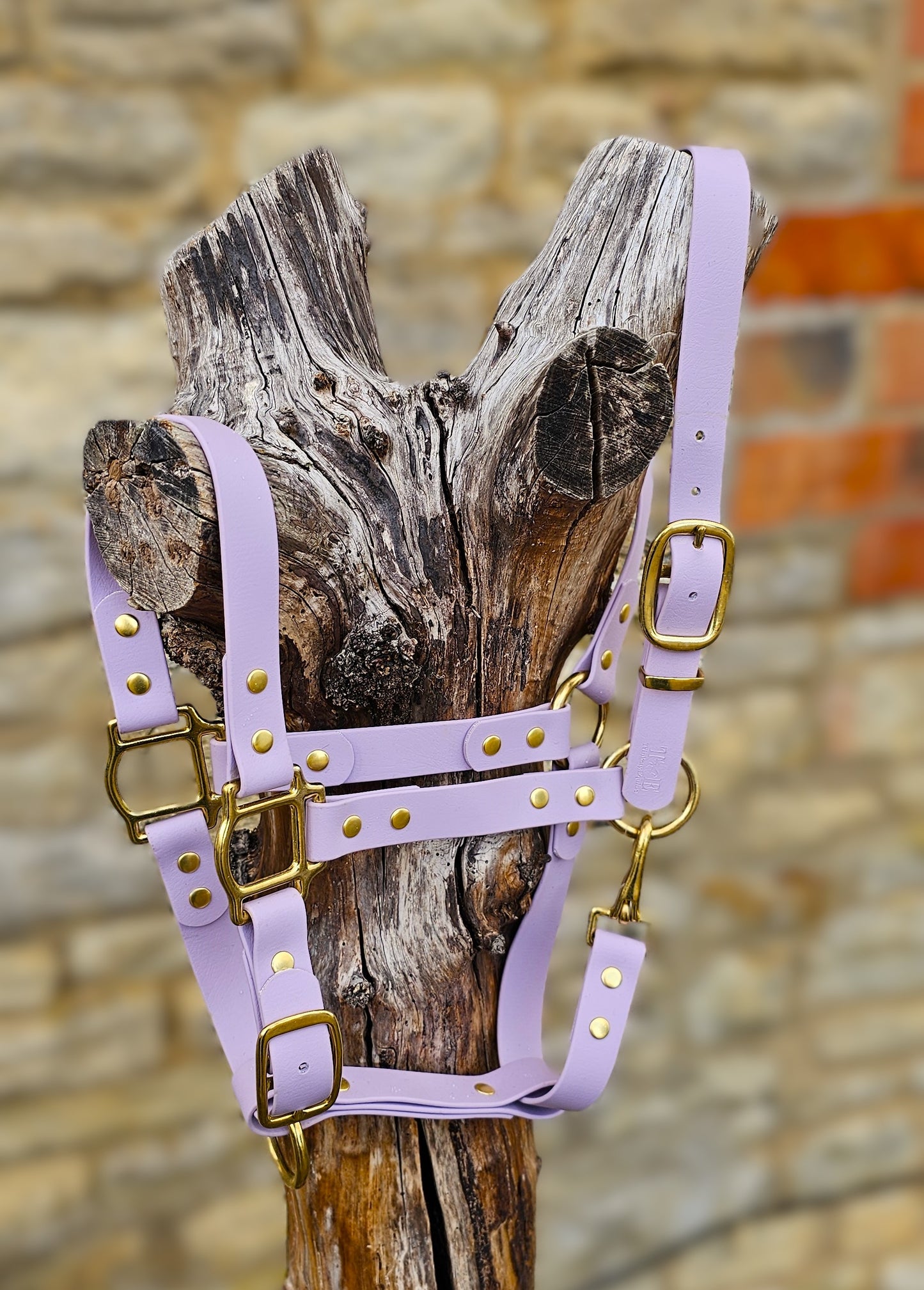 Lilac - Premium BioThane® waterproof Horse Halter