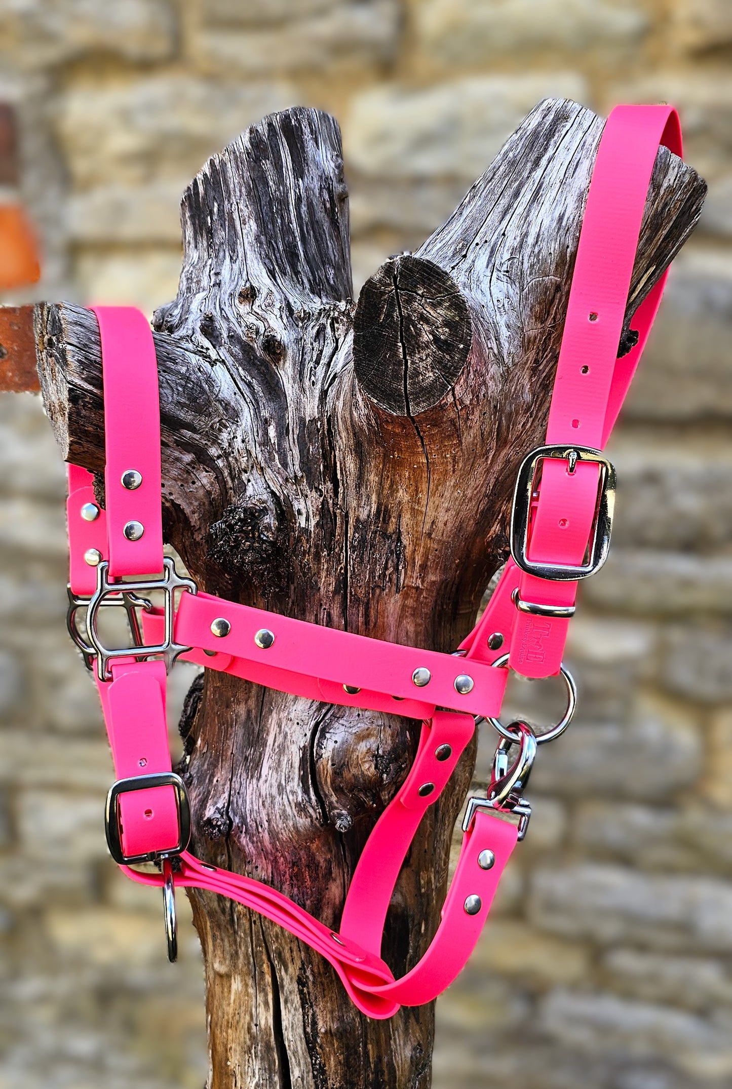 Neon Pink - Premium BioThane® waterproof Horse Halter