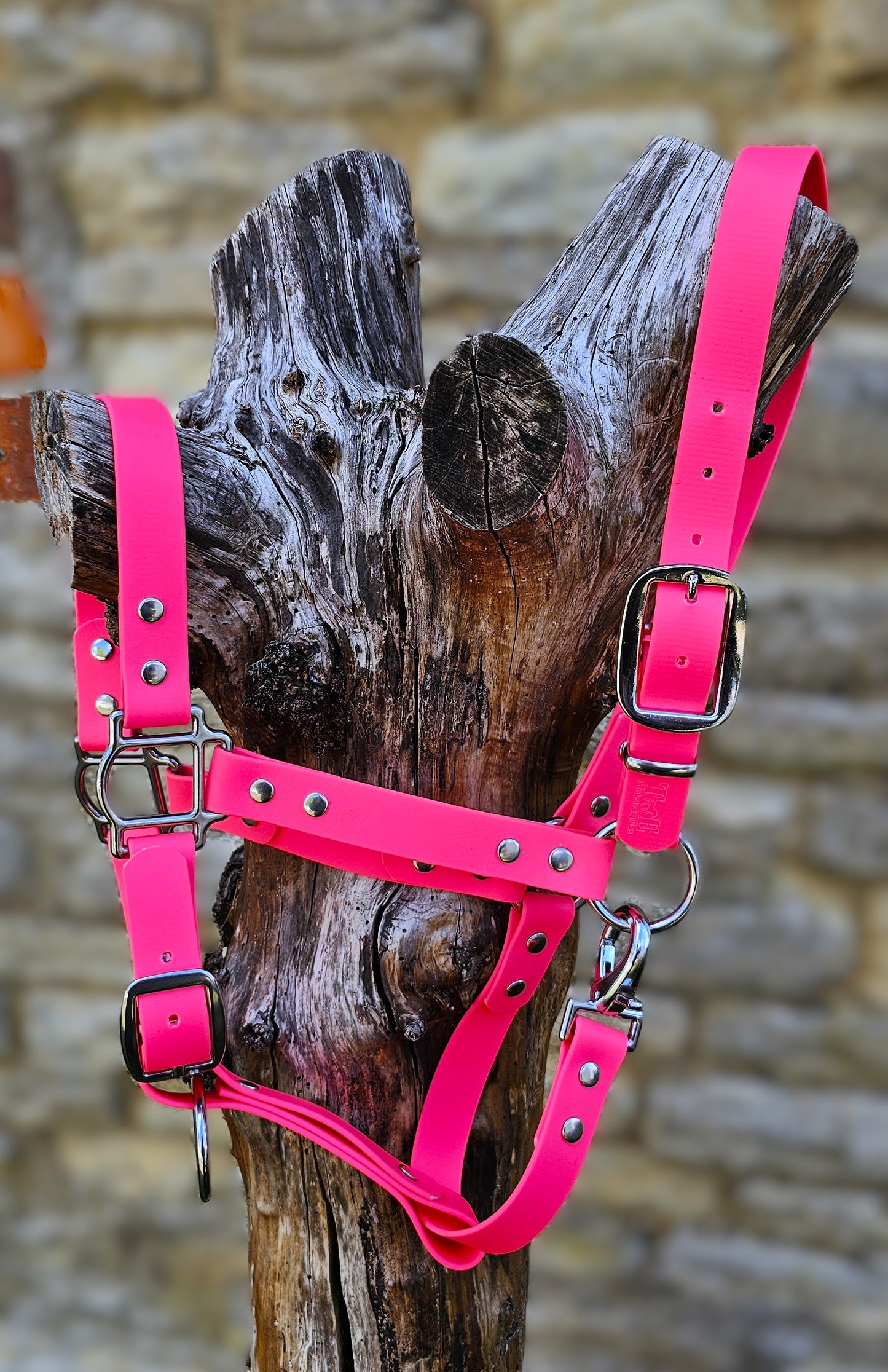 Neon Pink - Classic BioThane® waterproof Horse Halter