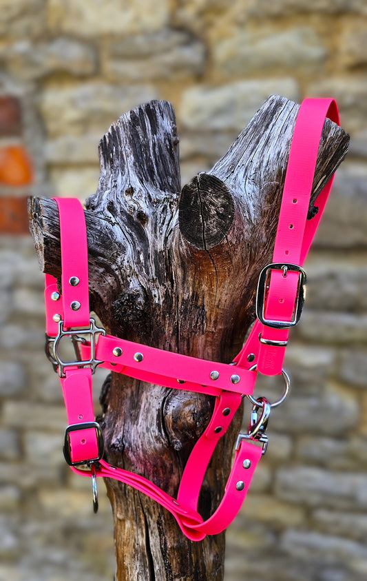 Neon Pink - Classic BioThane® waterproof Horse Halter
