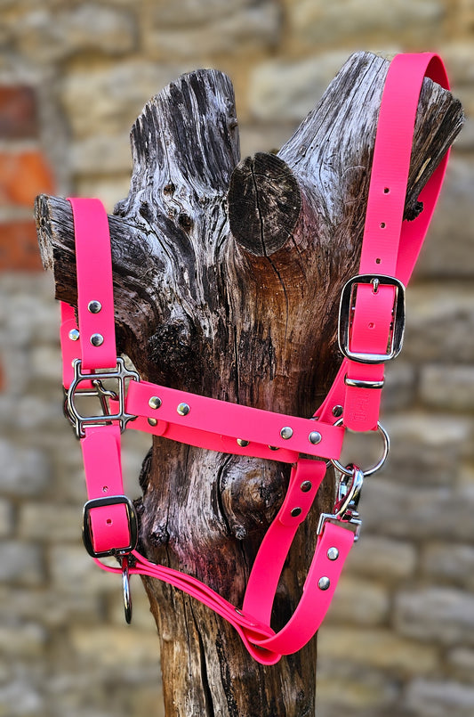 Neon Pink - Premium BioThane® waterproof Horse Halter