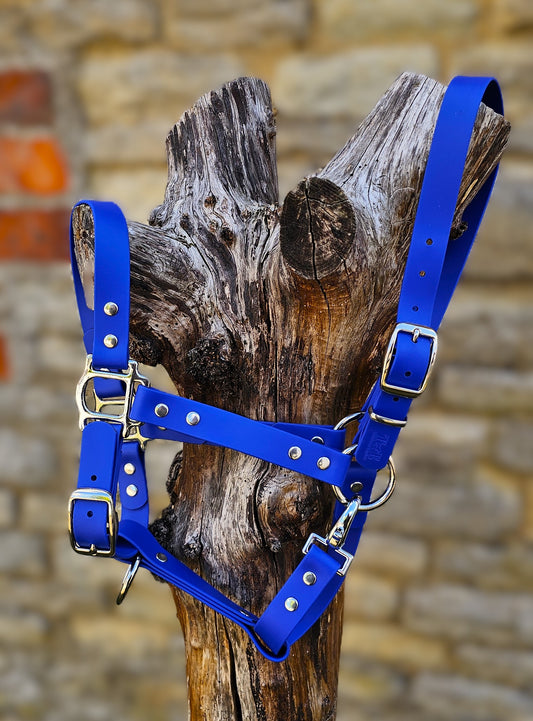 Royal Blue - Classic BioThane® waterproof Horse Halter