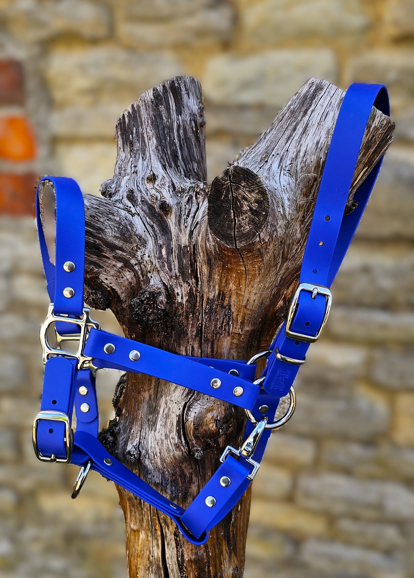 Royal Blue - Classic BioThane® waterproof Horse Halter
