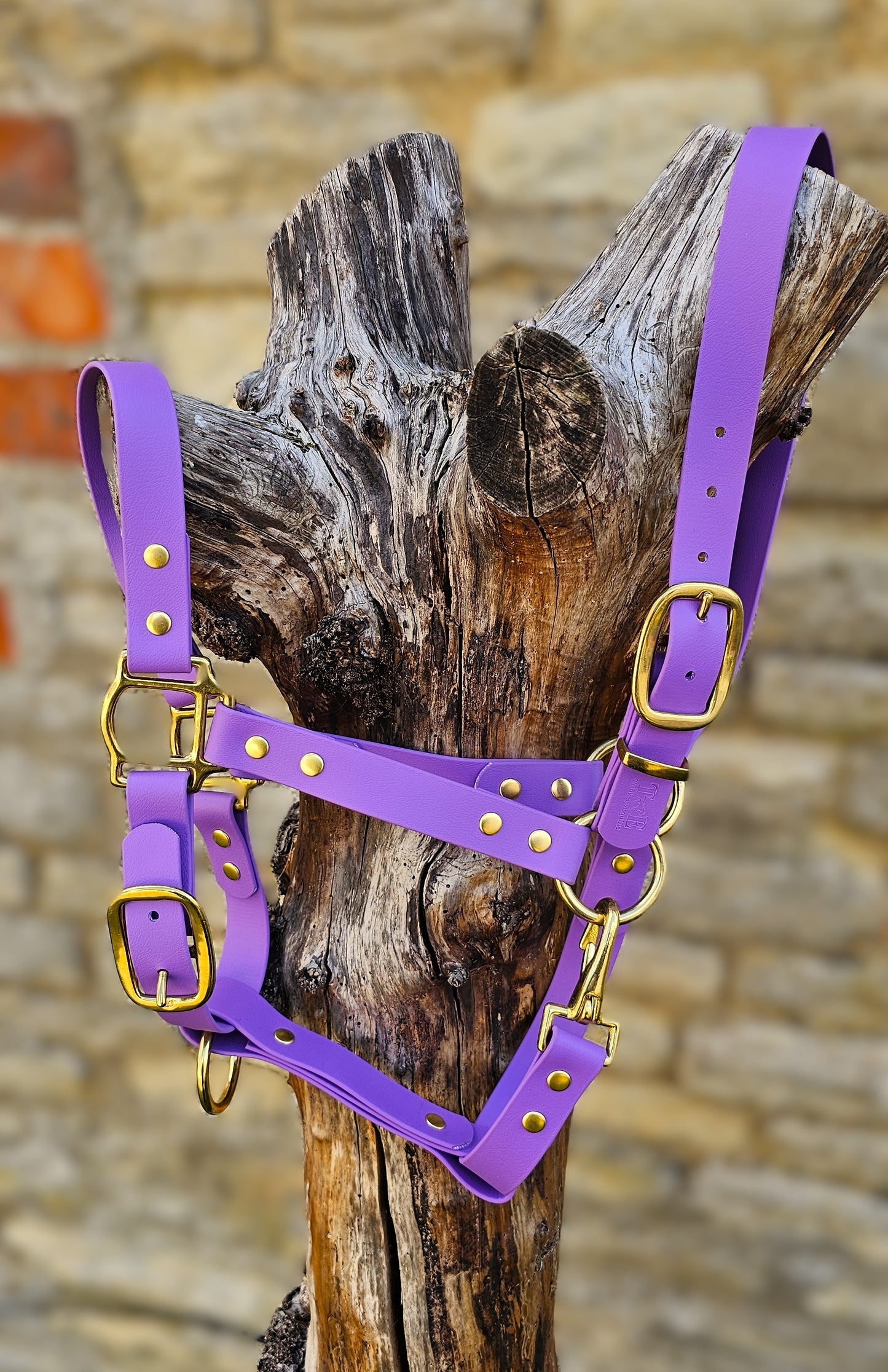 Amethyst - Premium BioThane® waterproof Horse Halter