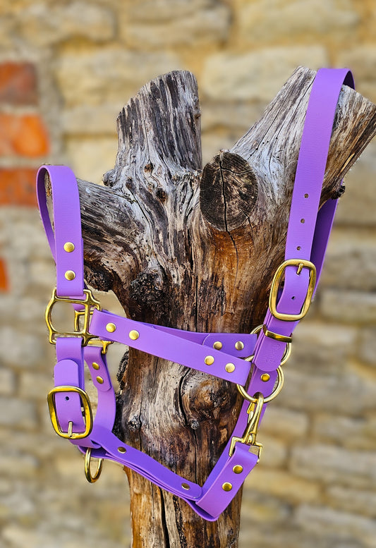 Amethyst - Premium BioThane® waterproof Horse Halter