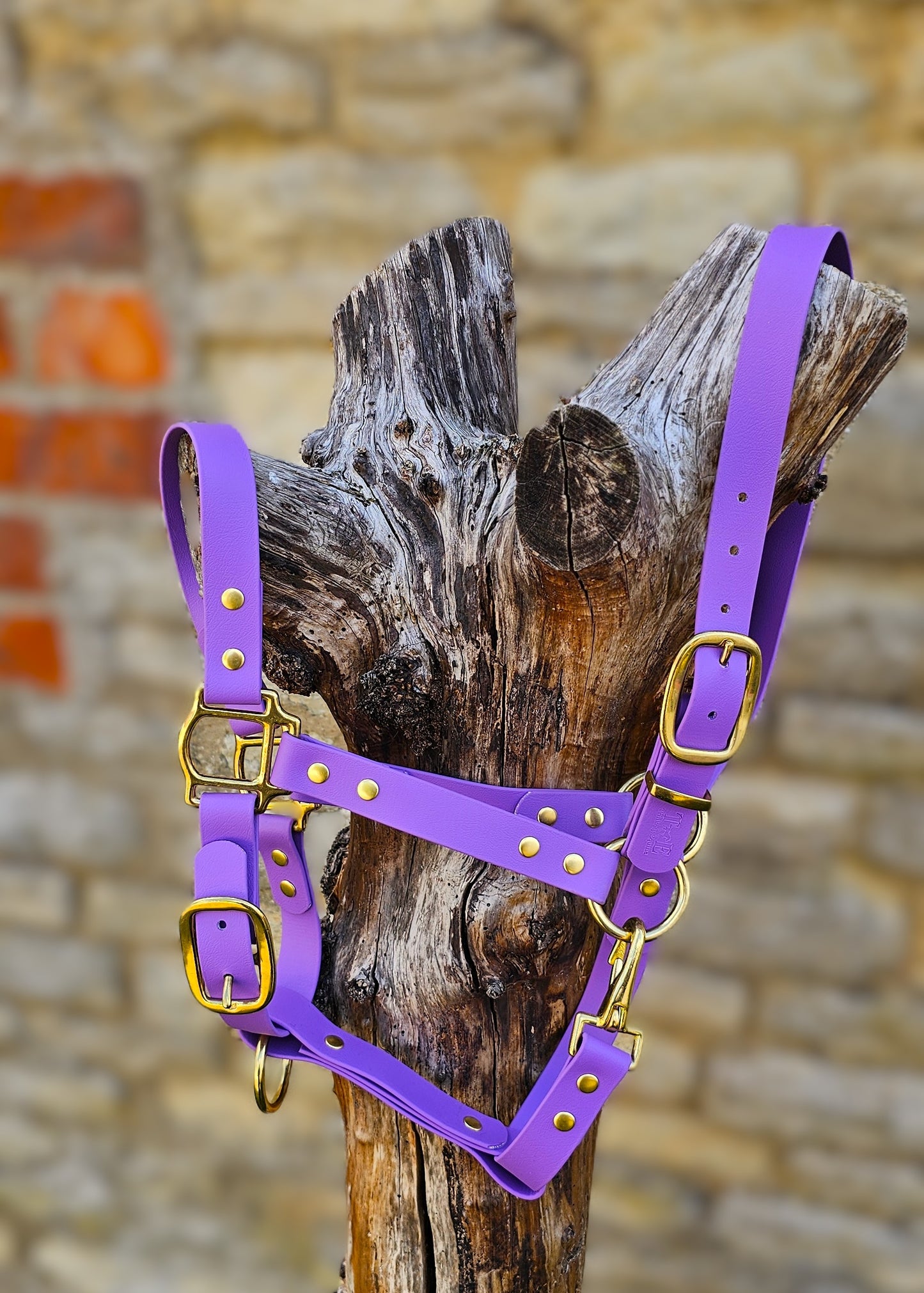 Amethyst - Premium BioThane® waterproof Horse Halter