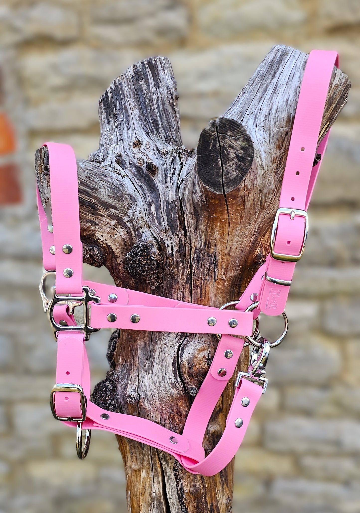 Baby Pink - Classic BioThane® waterproof Horse Halter